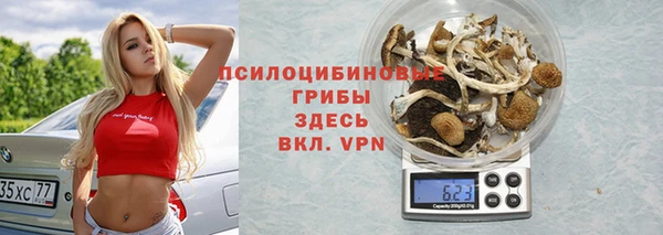 a pvp Медвежьегорск