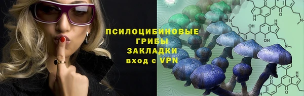 ECSTASY Медногорск