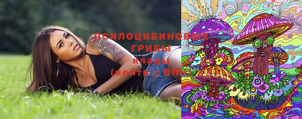 a pvp Медвежьегорск