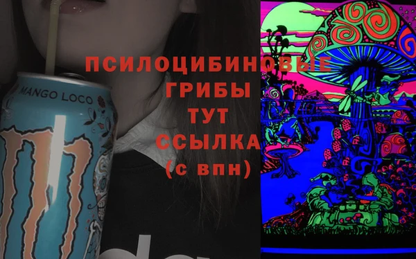 ECSTASY Медногорск