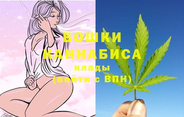 спайс Мегион