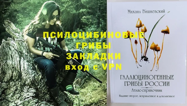 ECSTASY Медногорск